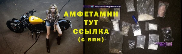 гидра Семилуки