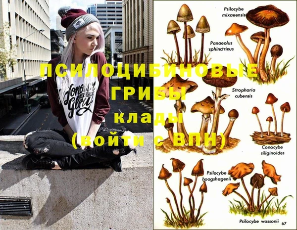 кокс Лабытнанги