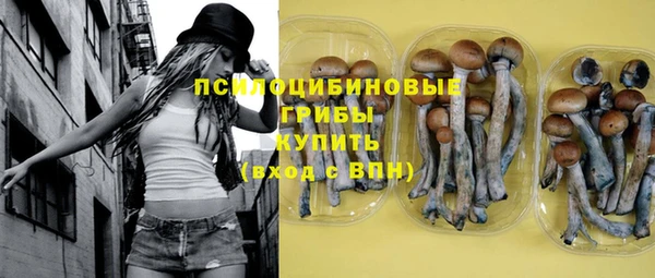 мдпв Лагань