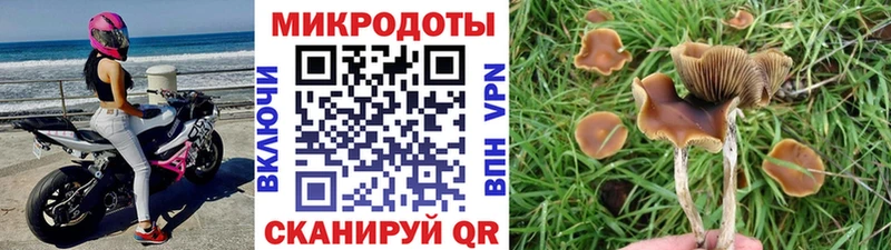 Псилоцибиновые грибы Magic Shrooms Иваново